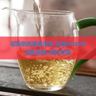 福海刮风寨普洱茶 福海刮风寨普洱茶