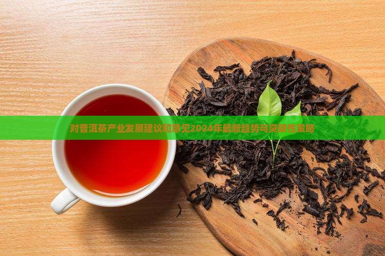 对普洱茶产业发展建议和意见