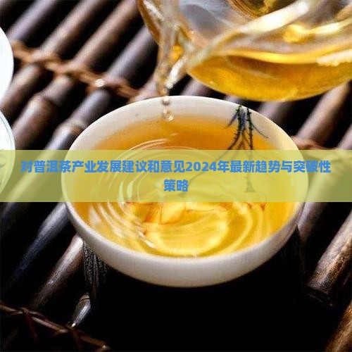对普洱茶产业发展建议和意见
