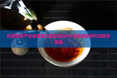 对普洱茶产业发展建议和意见