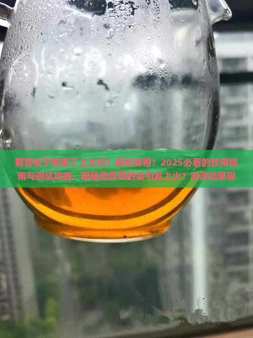 菊苣栀子茶喝了上火吗