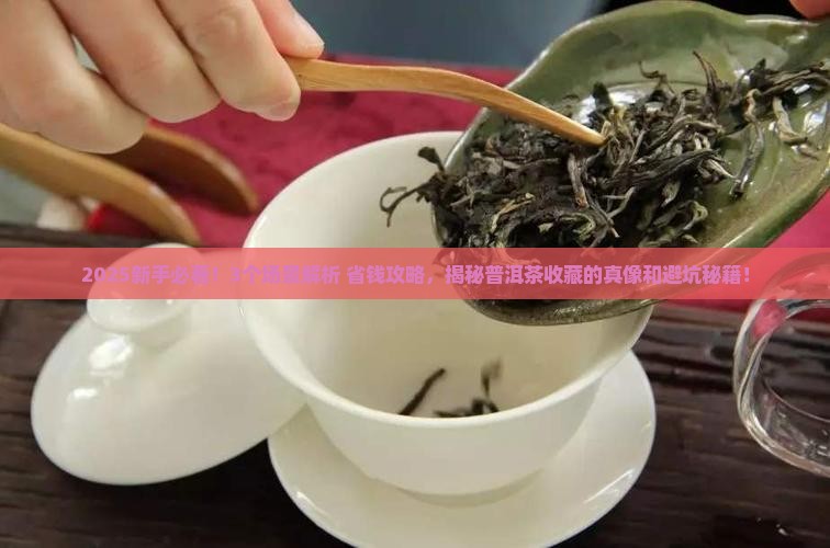近年来普洱茶购买藏越来越热