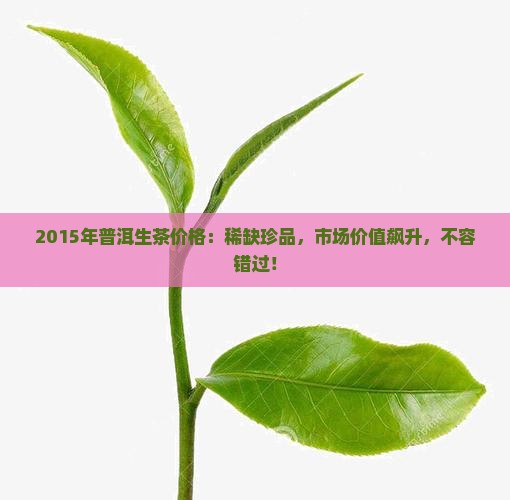 2015年普洱生茶价格
