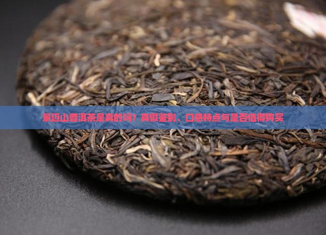 景迈山普洱茶是真的吗