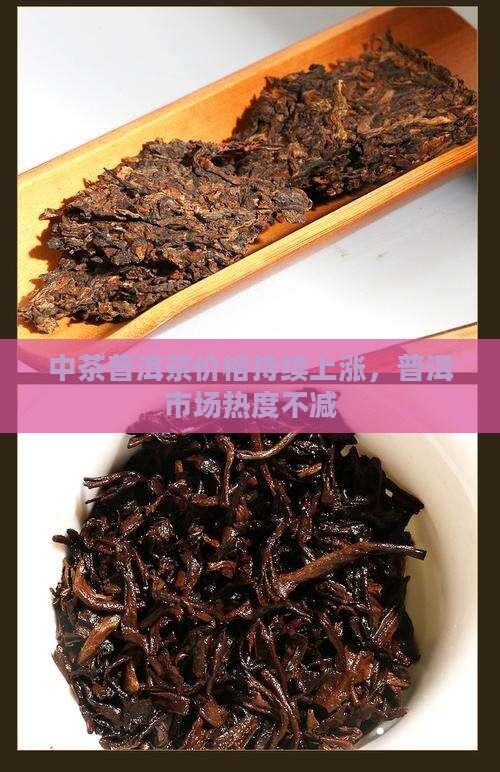 中茶普洱茶上涨