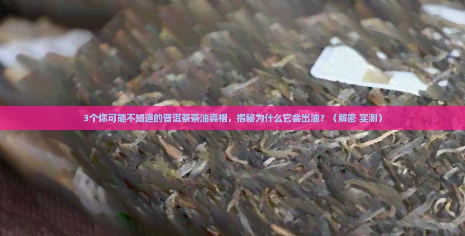 为什么普洱茶有茶油