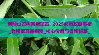 南糯山古树茶老班章