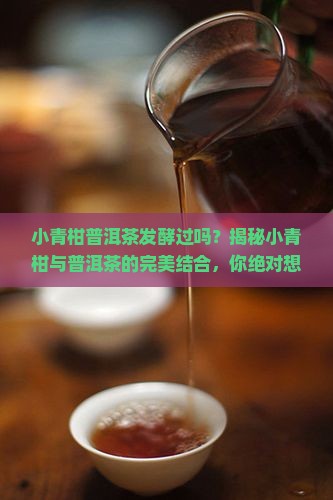 小青柑普洱茶发酵过吗