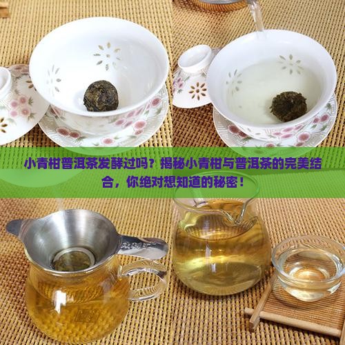 小青柑普洱茶发酵过吗