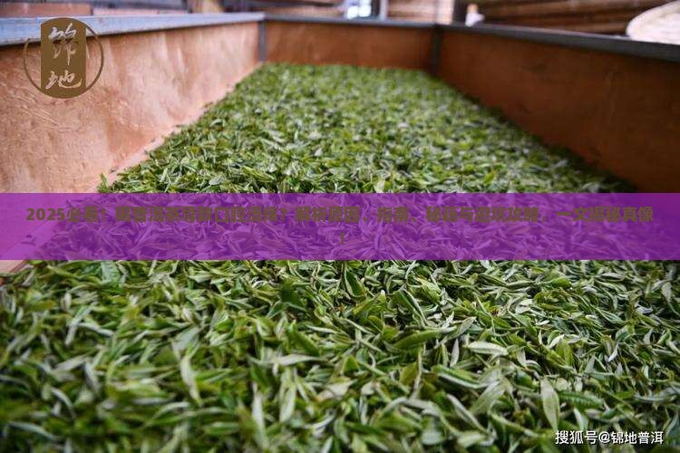 喝普洱茶导致口腔溃疡