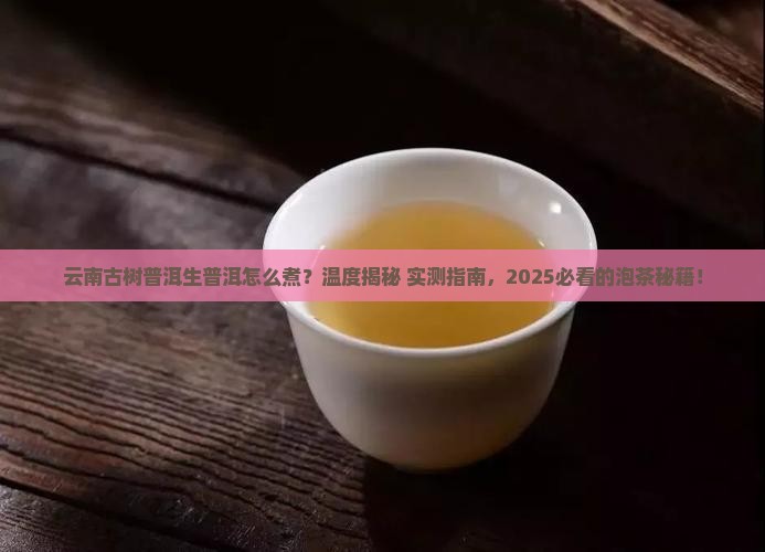 云南古树普洱生普洱煮茶温度