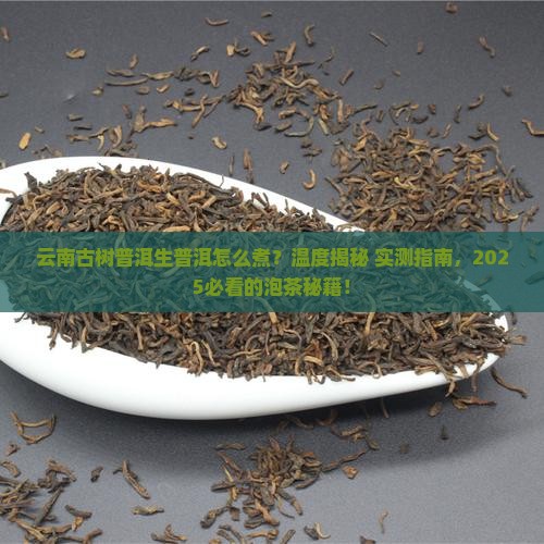 云南古树普洱生普洱煮茶温度