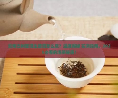 云南古树普洱生普洱煮茶温度