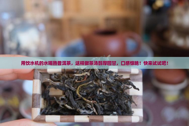 用饮水机的水喝熟普洱茶