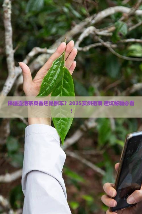 保温壶可以泡茶喝吗