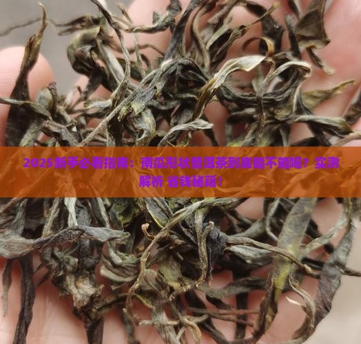 南瓜形状的普洱茶能不能喝