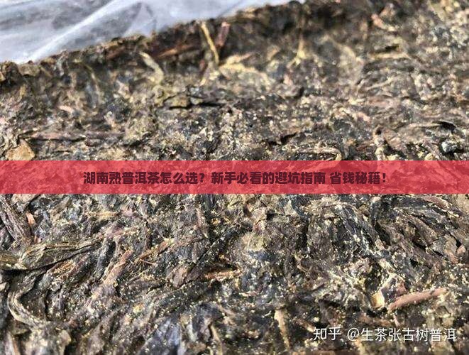 湖南熟普洱茶如何选择