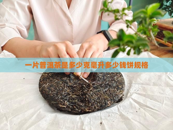 一片普洱茶是多少
