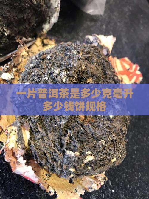 一片普洱茶是多少