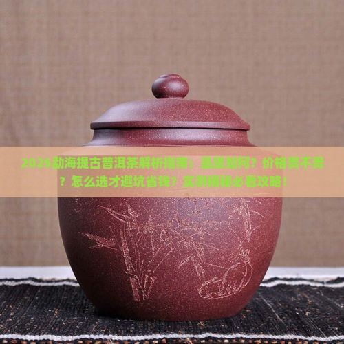 勐海提古普洱茶怎么样