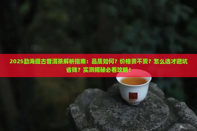 勐海提古普洱茶怎么样