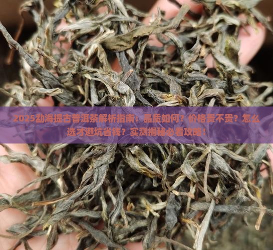 勐海提古普洱茶怎么样