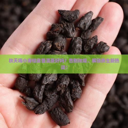秋天喝小青柑皮普洱茶好吗
