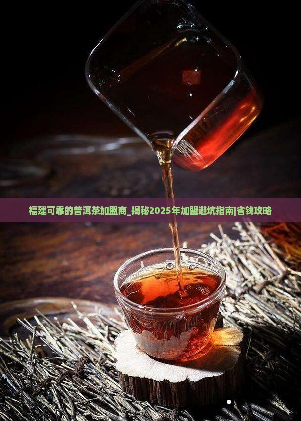 福建可靠的普洱茶加盟商