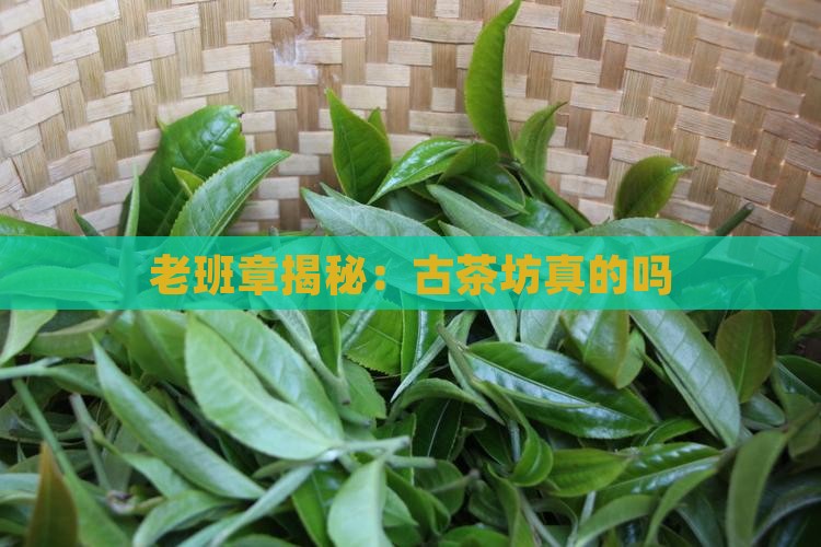 古茶坊老班章是真的吗