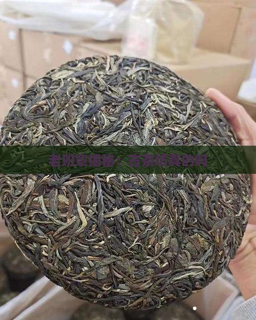 古茶坊老班章是真的吗