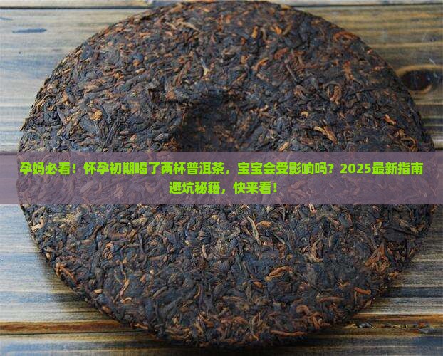 怀孕初期喝了两杯普洱茶