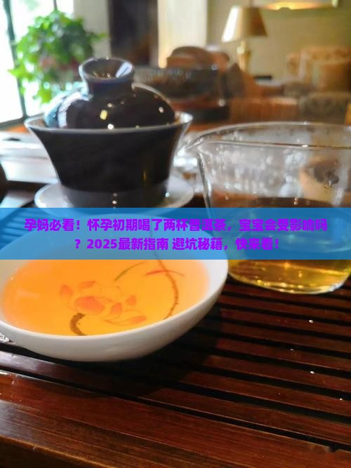 怀孕初期喝了两杯普洱茶