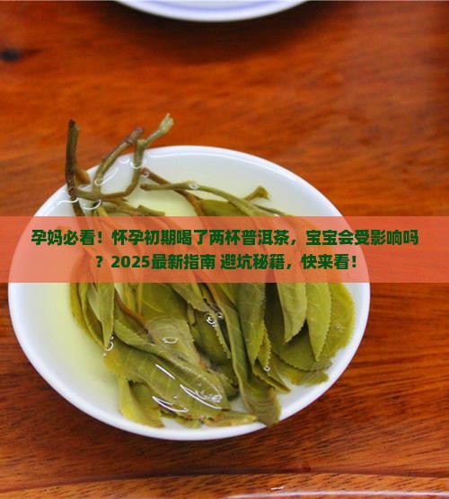 怀孕初期喝了两杯普洱茶
