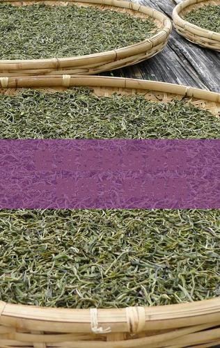 普洱茶算绿茶的一种吗
