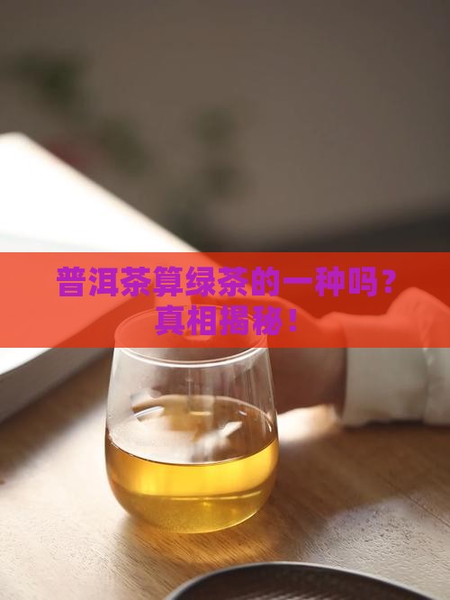 普洱茶算绿茶的一种吗