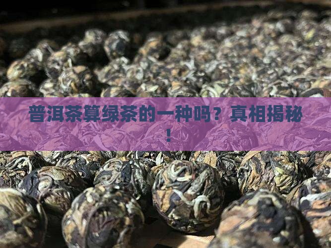 普洱茶算绿茶的一种吗