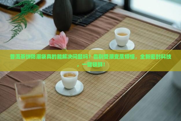 普洱茶饼防潮袋
