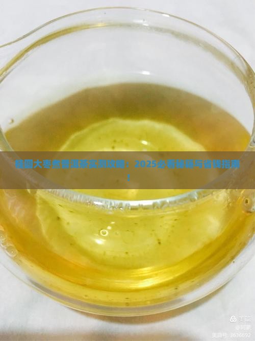 桂圆大枣煮普洱茶怎样