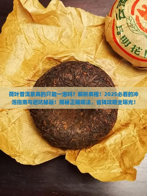 荷叶普洱茶只能一泡