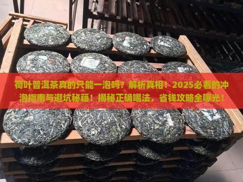 荷叶普洱茶只能一泡