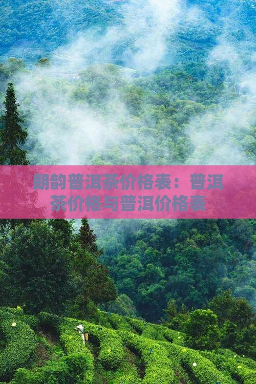 朗韵普洱茶价格表