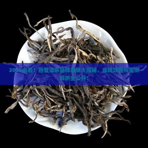 熟普洱茶什么品牌