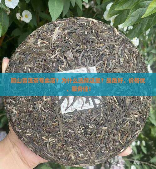 眉山普洱茶专卖店