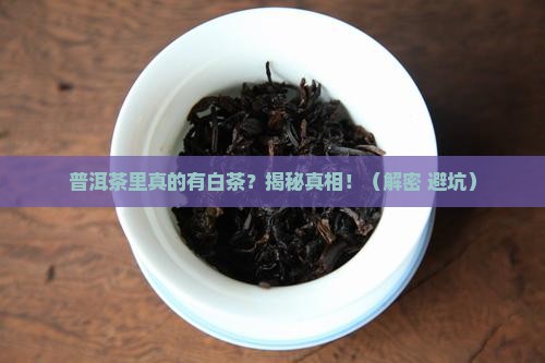 普洱茶里有白茶吗