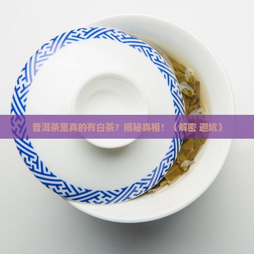 普洱茶里有白茶吗