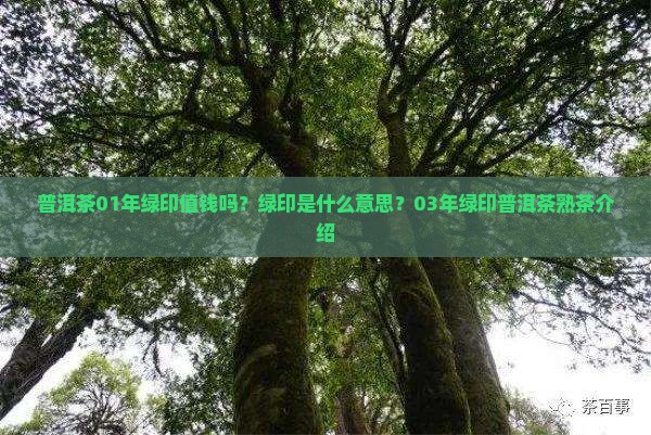 普洱茶01年绿印