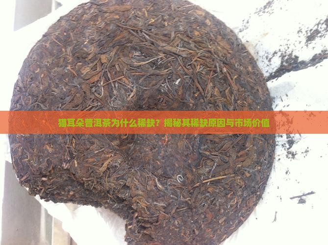 猫耳朵普洱茶为什么稀缺