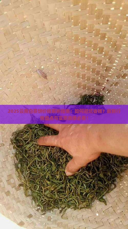 云南白茶饼价格