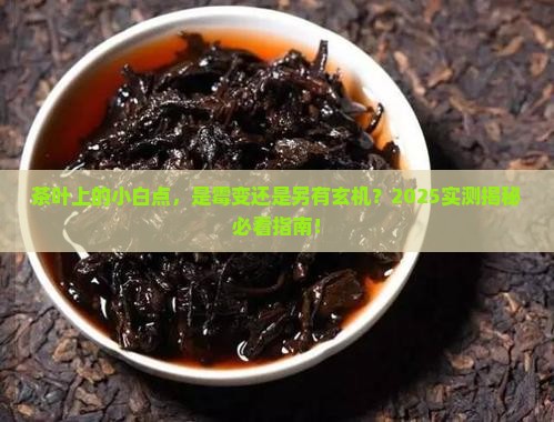 茶叶上面有白点点是发霉了吗