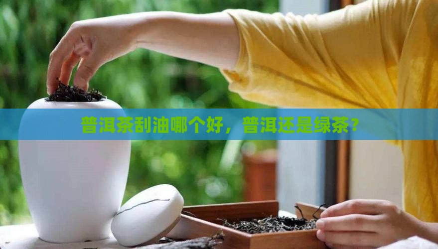 普洱茶刮油还是绿茶好